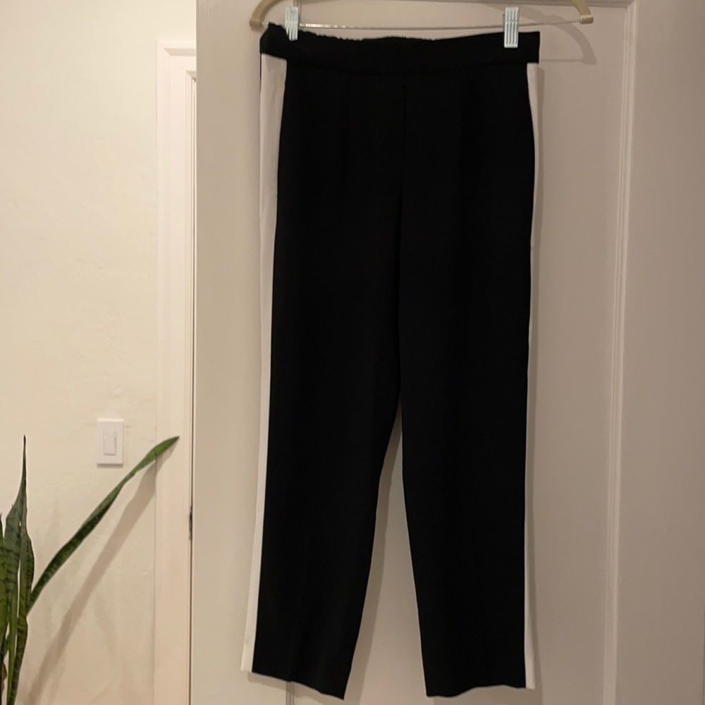 Babaton Cohen trousers